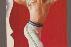 donruss-americana-jackie-chan-01