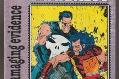 wolverine-and-punisher-01