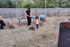 IMG_20240606_202547985