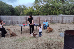 IMG_20240606_202550088
