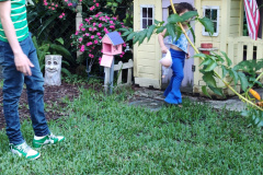 IMG_20240630_184627452