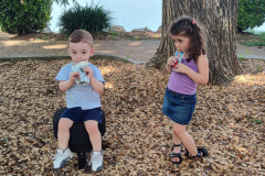 IMG_20240721_151320448_HDR