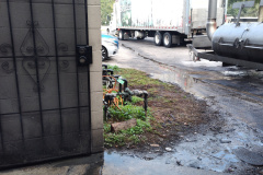 IMG_20231111_082125039