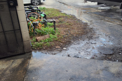 IMG_20231111_082132104