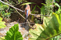 IMG_20240319_115133463_HDR